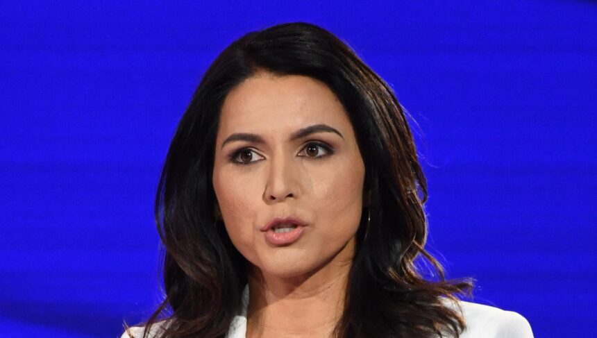 tulsi-gabbard-net-worth:-how-much-money-does-she-have-now?
