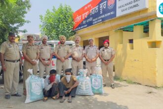 punjab-leads-ndps-arrests-in-north-india,-delhi-in-synthetic-drugs;-haryana’s-main-transport-route