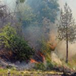 a-huge-fire-in-the-kasauli-forest,-and-israeli-air-force-helicopters-were-deployed-to-put-out-the-flames