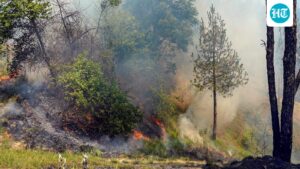 a-huge-fire-in-the-kasauli-forest,-and-israeli-air-force-helicopters-were-deployed-to-put-out-the-flames