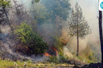 a-huge-fire-in-the-kasauli-forest,-and-israeli-air-force-helicopters-were-deployed-to-put-out-the-flames