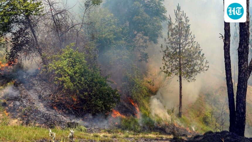 a-huge-fire-in-the-kasauli-forest,-and-israeli-air-force-helicopters-were-deployed-to-put-out-the-flames