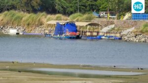 the-delhi-ferry-project-has-been-delayed-as-the-5-km-long-road-in-the-yamuna-has-become-largely-dry