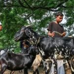 the-chhattisgarh-waqf-board-urges-muslims-to-avoid-sacrifice-in-open-public-places