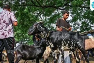 the-chhattisgarh-waqf-board-urges-muslims-to-avoid-sacrifice-in-open-public-places