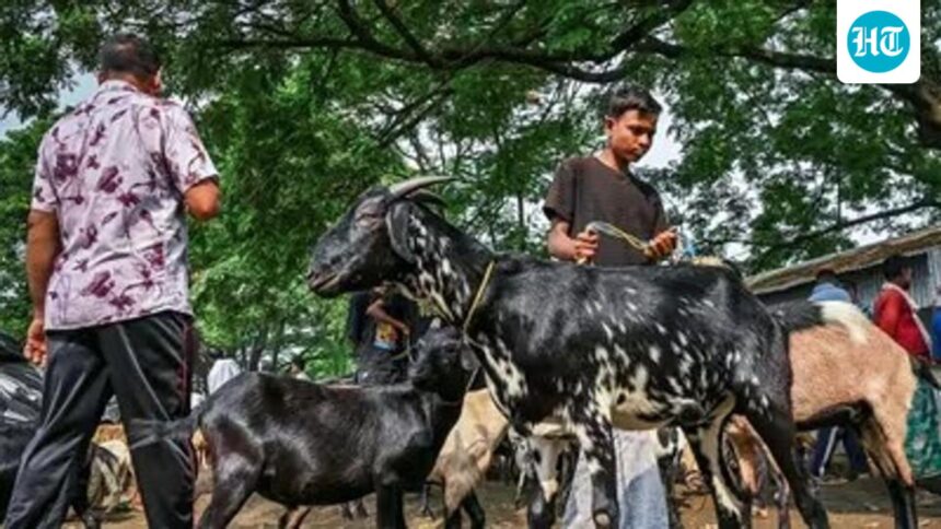 the-chhattisgarh-waqf-board-urges-muslims-to-avoid-sacrifice-in-open-public-places