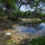 the-delhi-pollution-board-has-directed-to-analyze-kitchener-lake-in-dhaula-kuan