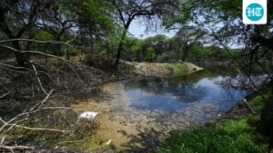 the-delhi-pollution-board-has-directed-to-analyze-kitchener-lake-in-dhaula-kuan