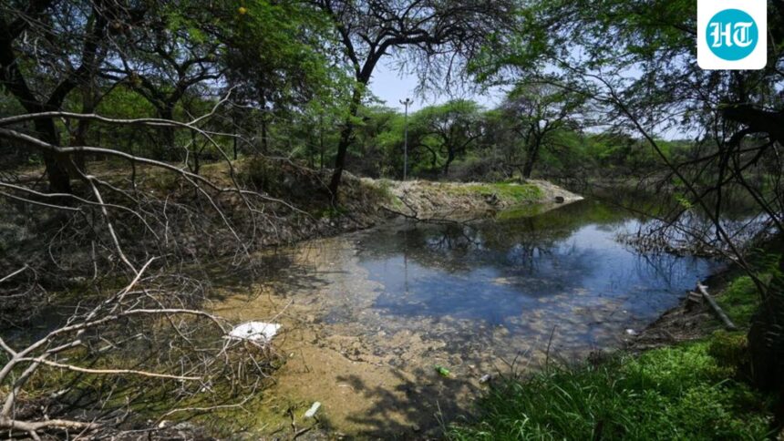 the-delhi-pollution-board-has-directed-to-analyze-kitchener-lake-in-dhaula-kuan