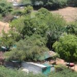 the-unusual-rise-in-pollution-in-summer-highlights-the-aravallis’-diminishing-role-as-a-dust-buffer