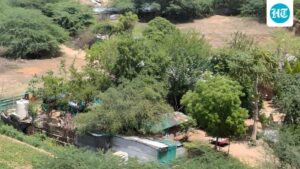 the-unusual-rise-in-pollution-in-summer-highlights-the-aravallis’-diminishing-role-as-a-dust-buffer