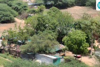 the-unusual-rise-in-pollution-in-summer-highlights-the-aravallis’-diminishing-role-as-a-dust-buffer
