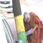 twisha-sharma’s-mother-in-law,-gribala-singh,-was-seen-feeding-a-stray-dog-​​after-her-anticipatory-bail-was-cancelled.