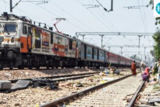 54,000-trees-were-cut-for-the-railway-line-in-mp,-but-the-probe-has-now-been-ordered-to-walk-on-a-dangerous-alignment.