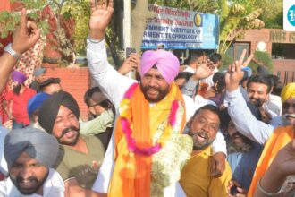 punjab-civic-polls:-aap-dominates,-congress-is-a-distant-second,-bjp-is-fifth;-check-party-results