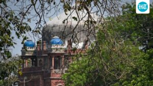 he-has-repeatedly-told-delhi-golf-club-not-to-obstruct-visitors-to-the-cemetery:-asi-chief