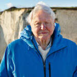 at-100,-david-attenborough-still-has-emmy-momentum-with-‘ocean’