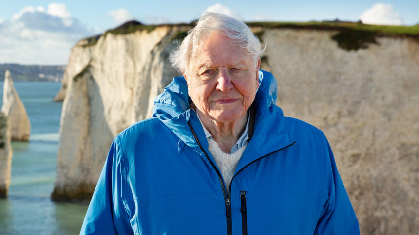 at-100,-david-attenborough-still-has-emmy-momentum-with-‘ocean’