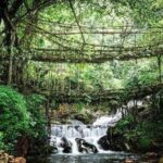 sacred-groves,-living-laws:-how-khasi-traditions-quietly-protect-the-forests-of-meghalaya