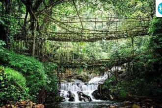 sacred-groves,-living-laws:-how-khasi-traditions-quietly-protect-the-forests-of-meghalaya