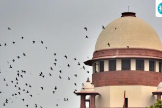 sc-refuses-to-change-neet-retest-format-before-june-21-exam