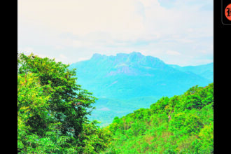 the-supreme-court-has-ordered-a-massive-clean-up-of-the-agastyamalai-landscape