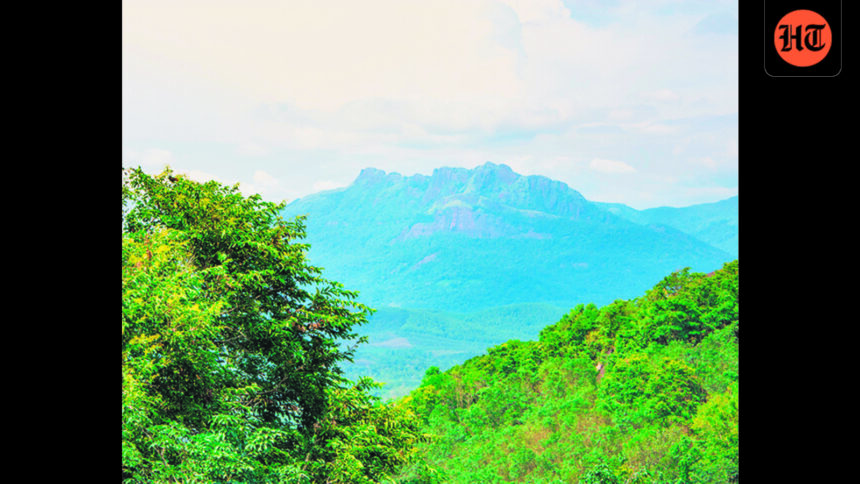 the-supreme-court-has-ordered-a-massive-clean-up-of-the-agastyamalai-landscape
