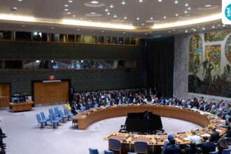 ‘national-ownership-must-remain-at-heart’:-india-calls-for-transparency-in-un-development-pillar