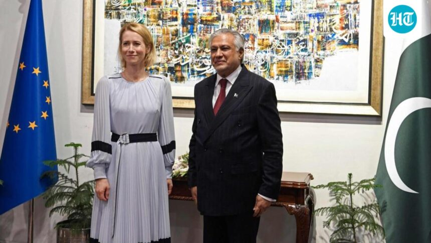 ‘no-position-position’:-india-criticizes-pakistan-eu-joint-statement-on-jammu-and-kashmir