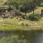 the-supreme-court-constitutes-a-5-member-committee-to-propose-the-definition-of-the-aravalli-range