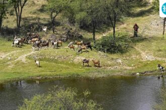 the-supreme-court-constitutes-a-5-member-committee-to-propose-the-definition-of-the-aravalli-range