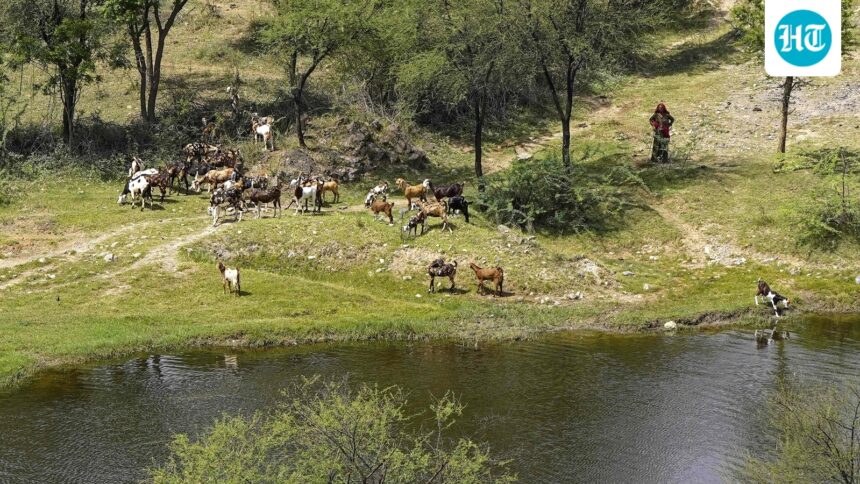 the-supreme-court-constitutes-a-5-member-committee-to-propose-the-definition-of-the-aravalli-range
