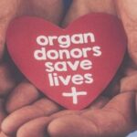 mother’s-claim-for-child-should-not-be-doubted-casually:-madras-hc-on-organ-donation
