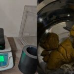 a-traveler-from-sharjah-was-arrested-with-275-kg-of-gold-worth-rs-38-crore-at-delhi-airport.