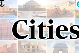 delhi-is-looking-for-its-own-disaster-task-force