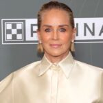 sharon-stone-reveals-physical-assault-while-being-hit-from-behind:-‘i-didn’t-know-how-i-got-there’