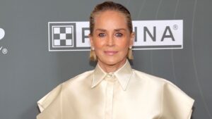 sharon-stone-reveals-physical-assault-while-being-hit-from-behind:-‘i-didn’t-know-how-i-got-there’