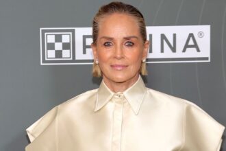 sharon-stone-reveals-physical-assault-while-being-hit-from-behind:-‘i-didn’t-know-how-i-got-there’