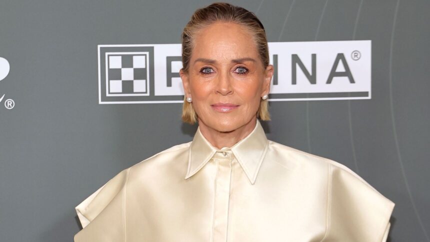 sharon-stone-reveals-physical-assault-while-being-hit-from-behind:-‘i-didn’t-know-how-i-got-there’