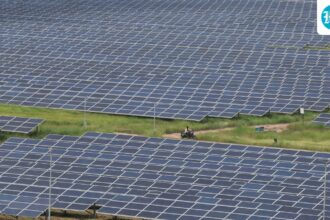 india-overtakes-us-in-solar-power-additions-in-2025:-govt