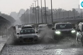 waterlogging-and-uprooting-of-trees:-sudden-storm-wreaks-havoc-across-delhi-national-capital-|-in-the-pictures