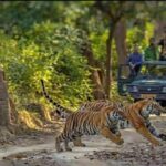 corbett-tiger-reserve-will-ban-plastic-water-bottles-in-all-areas-from-october