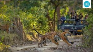 corbett-tiger-reserve-will-ban-plastic-water-bottles-in-all-areas-from-october