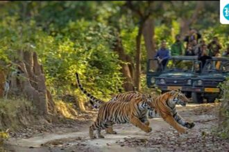 corbett-tiger-reserve-will-ban-plastic-water-bottles-in-all-areas-from-october
