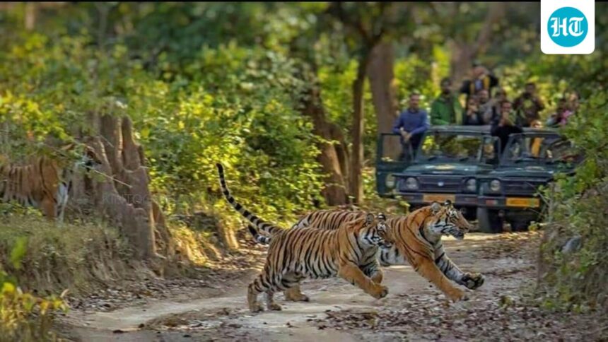 corbett-tiger-reserve-will-ban-plastic-water-bottles-in-all-areas-from-october