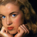 the-man-who-invented-marilyn