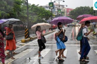 heavy-rains-overnight-caused-waterlogging-and-uprooted-trees-in-parts-of-kerala