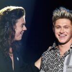niall-horan’s-confession-about-his-jealousy-of-harry-styles-is-the-truest-thing-the-pop-star-has-said-all-year