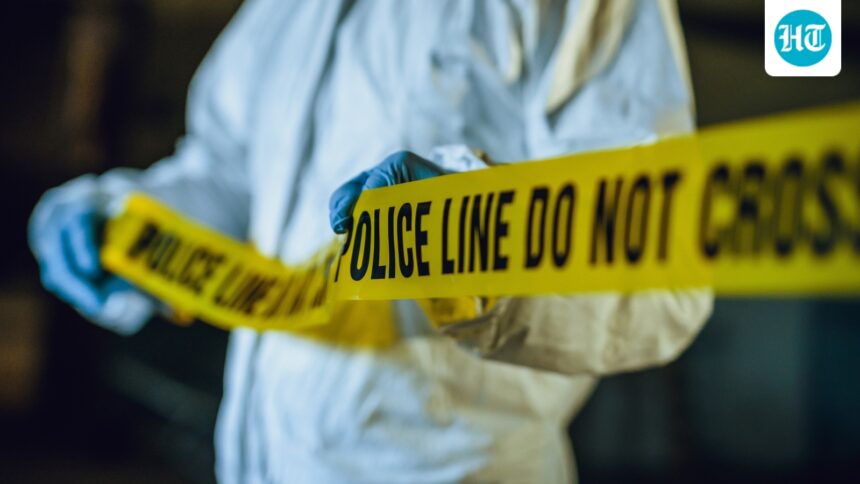 indian-workers-are-among-7-killed-in-dubai-when-a-minibus-collides-with-a-truck | GIBN indian-workers-are-among-7-killed-in-dubai-when-a-minibus-collides-with-a-truck