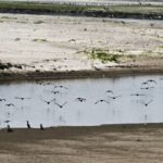 why-delhi’s-water-crisis-keeps-returning-to-the-same-choke-point